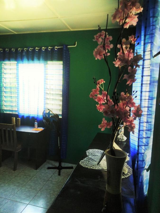 Toga Guest House Port Antonio Dış mekan fotoğraf